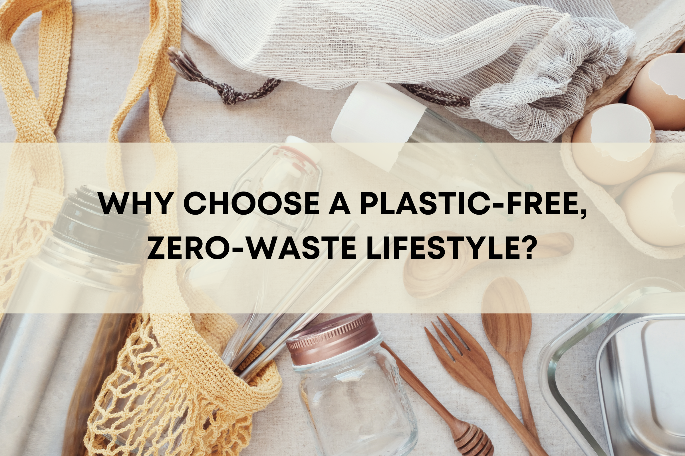 Why Choose a Plastic-Free, Zero-Waste Lifestyle?