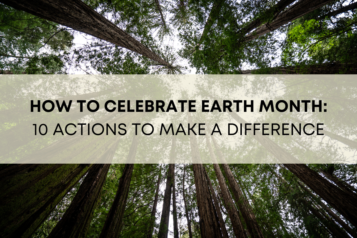 How to Celebrate Earth Month: 10 Actions to Make a Difference