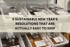 8 Sustainable New Year's Resolutions That Are Actually Easy To Keep