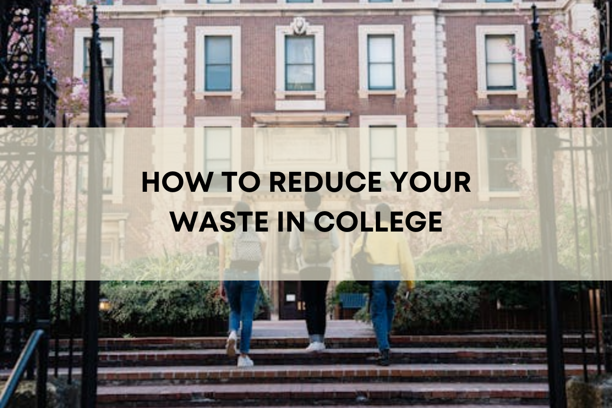 HOW TO REDUCE YOUR WASTE IN COLLEGE Tare Market