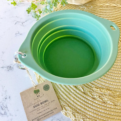 Collapsible Dog Bowl