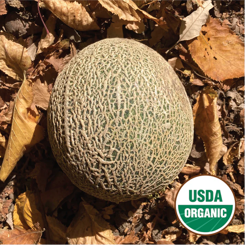 Musketeer Melon Seed Packet