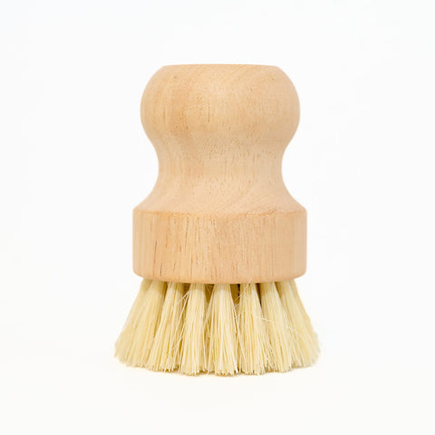 Scrub Brushes