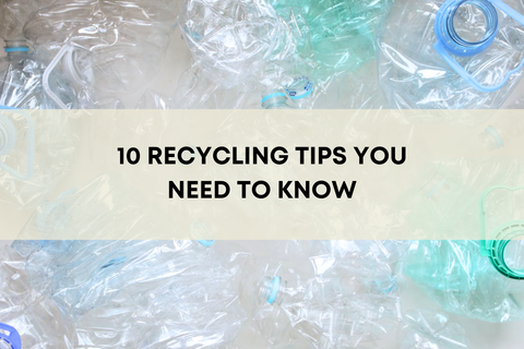 10 Recycling Tips You Need To Know
