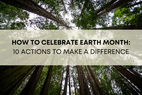 How to Celebrate Earth Month: 10 Actions to Make a Difference