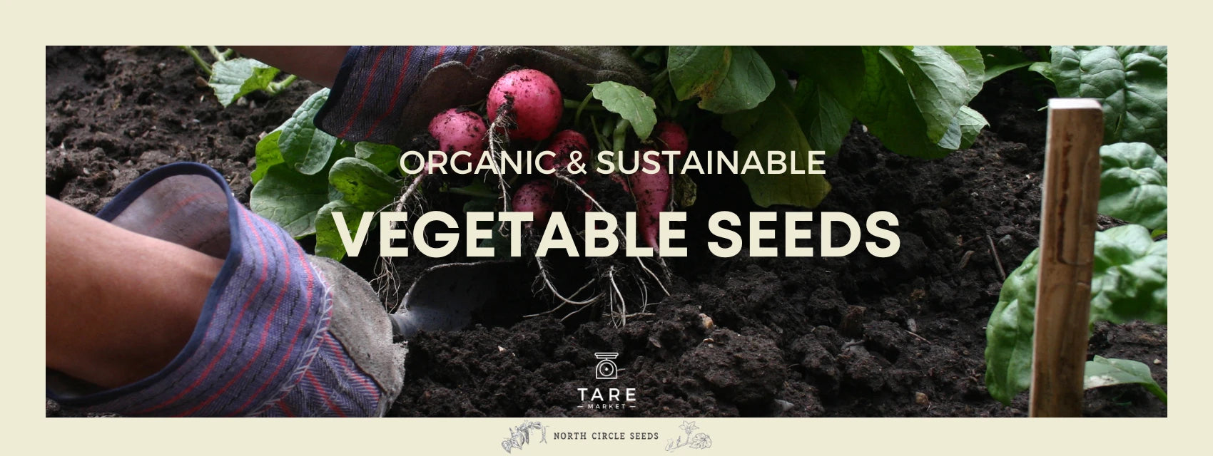 Vegetable Seeds
