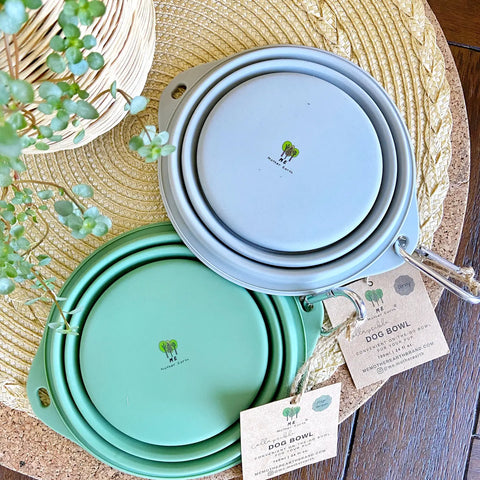 Collapsible Dog Bowl