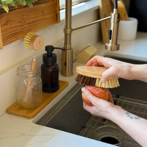 Multipurpose Scrub Brush