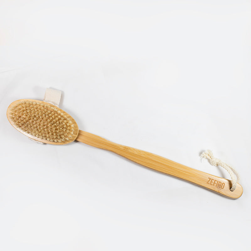 Long Handled Wet/Dry Brush