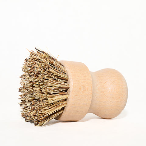 Scrub Brushes