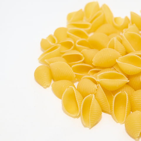 Medium Shell Pasta