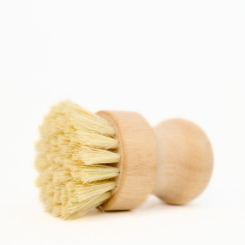 Scrub Brushes