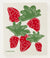 Swedish Dishcloth