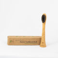 Compostable Electric Toothbrush Head