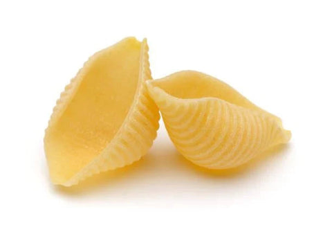 Medium Shell Pasta